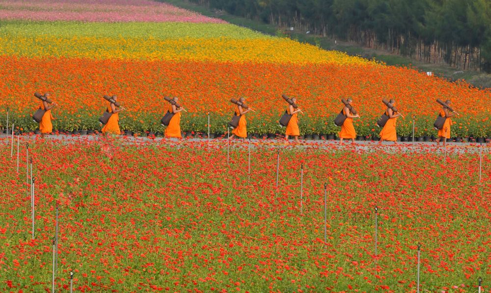 ภาพ No.35752:โครงการธรรมยาตรา เส้นทางพระผู้ปราบมาร ปีที่ 9 ณ วัดพระธรรมกาย