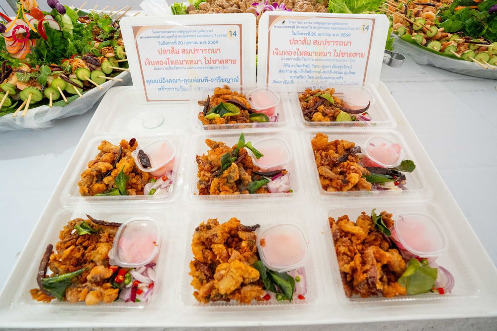 ภาพ No.298565:วันที่ 20 มกราคม พ.ศ. 2569 พิธีถวายภัตตาหารเป็นสังฆทาน แด่พระธรรมยาตรา ณ อนุสรณ์สถานบางปลา วัดบางปลา อำเภอบางเลน จังหวัดนครปฐม ในโครงการธรรมยาตรา กตัญญูบูชา มหาปูชนียาจารย์ พระมงคลเทพมุนี(สด จนฺทสโร) พระผู้ปราบมาร อนุสรณ์สถาน 7 แห่ง ปีที่ 14