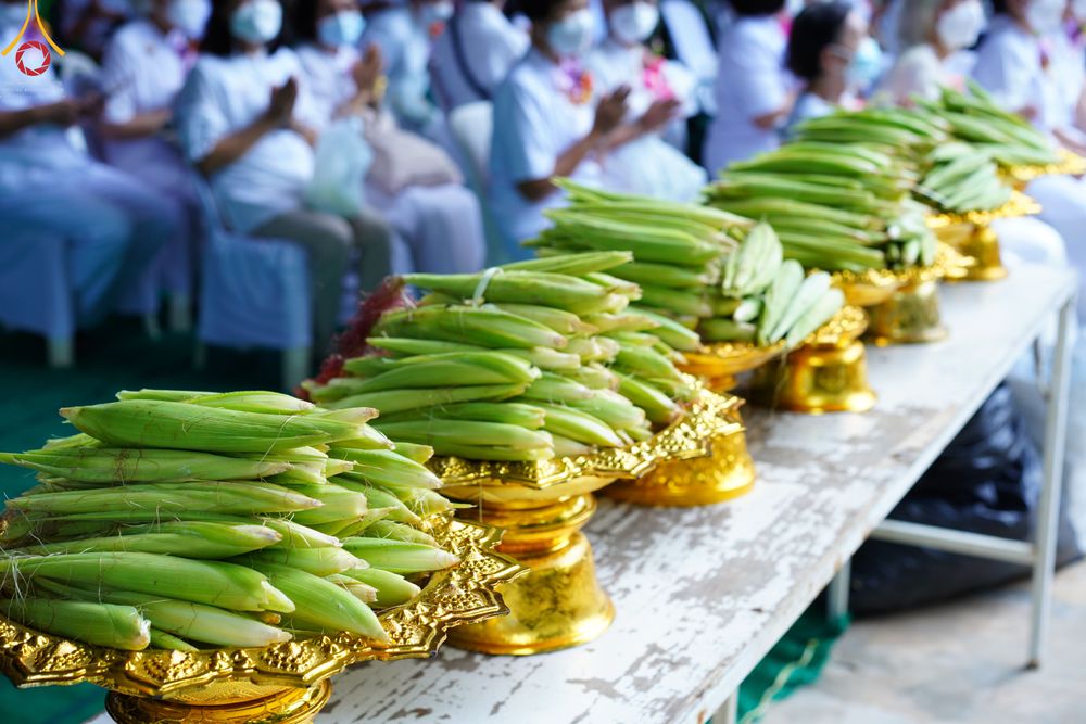 ภาพ No.50175:ประมวลภาพพิธีเจริญพระพุทธมนต์ ปีที่ 18 ณ ศูนย์อบรมเยาวชนผาสุกวนิช จ.ราชบุรี