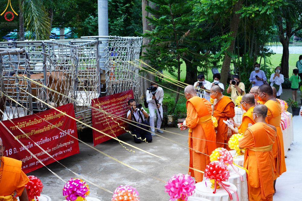 ภาพ No.50176:ประมวลภาพพิธีเจริญพระพุทธมนต์ ปีที่ 18 ณ ศูนย์อบรมเยาวชนผาสุกวนิช จ.ราชบุรี
