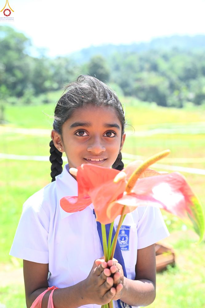 ภาพ No.284306:วันที่ 28 ตุลาคม พ.ศ.2568 กฐินสมทบต่างประเทศ โดยคณะศิษยานุศิษย์ บูชาธรรม 81 ปี หลวงพ่อธัมมชโย ณ วัดศรีสุคตาราม บาลังโกด้า ศรีลังกา