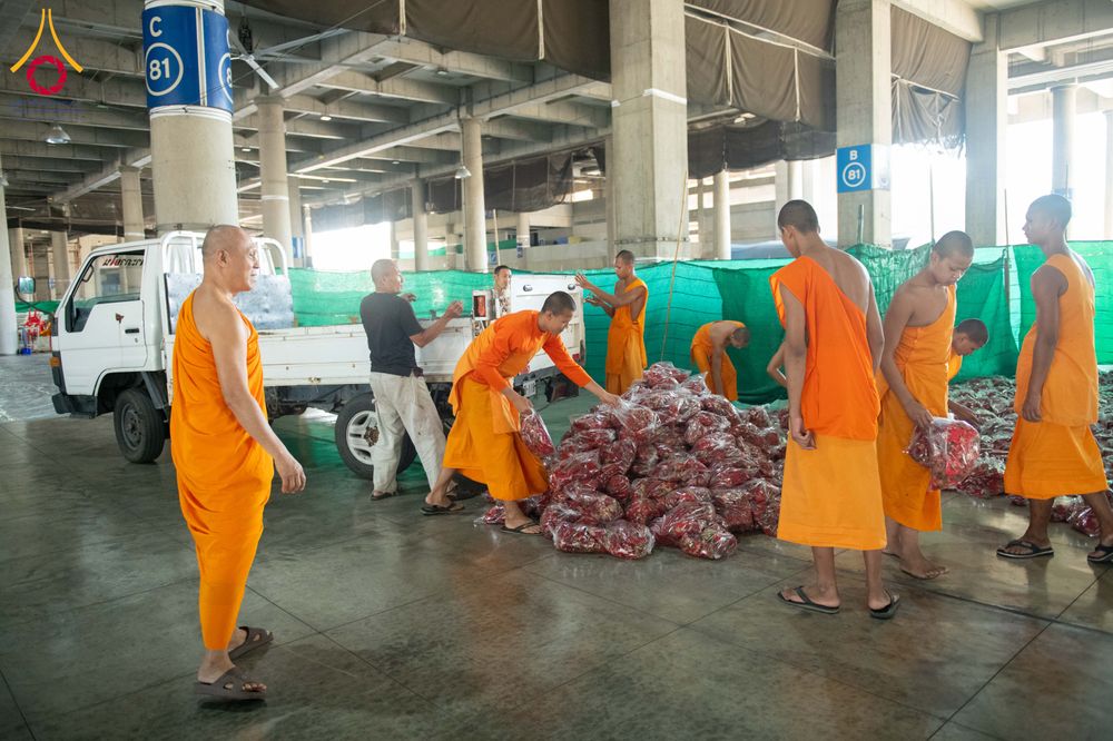 ภาพ No.279487:วันที่ 19-26 ธันวาคม พ.ศ. 2568 และ วันที่ 1 มกราคม พ.ศ.2569 รับบุญปลิดกลีบดอกไม้ เพื่อโปรยต้อนรับพระธรรมยาตรา