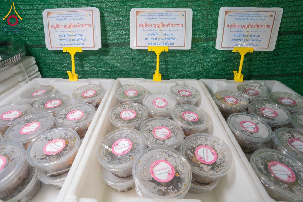 ภาพ No.300239:วันที่ 22 มกราคม พ.ศ. 2569 พิธีถวายภัตตาหารเป็นสังฆทาน แด่พระธรรมยาตรา ณ อนุสรณ์สถานบางปลา วัดบางปลา อำเภอบางเลน จังหวัดนครปฐม ในโครงการธรรมยาตรา กตัญญูบูชา มหาปูชนียาจารย์ พระมงคลเทพมุนี(สด จนฺทสโร) พระผู้ปราบมาร อนุสรณ์สถาน 7 แห่ง ปีที่ 14