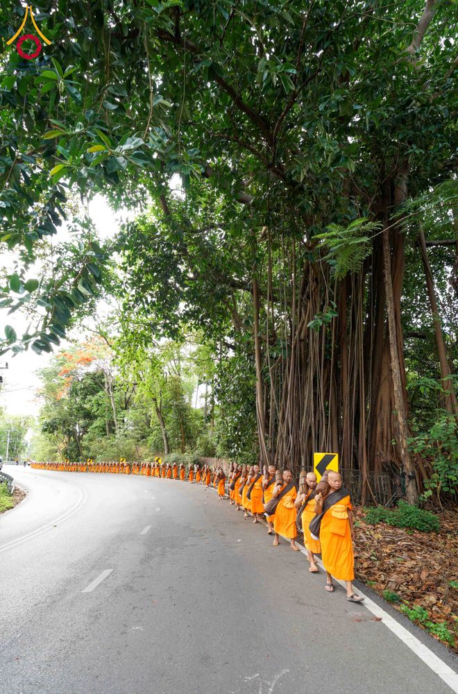 ภาพ No.329134:วันเสาร์ที่ 16 พฤษภาคม พ.ศ.2569 ธรรมยาตรา เดินดูดวงขึ้นดอยฉลองแชมป์บาลี วัดบ้านขุน อำเภอฮอด จังหวัดเชียงใหม่