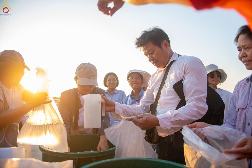 ภาพ No.321543:วันที่ 9-10 เมษายน พ.ศ.2569 การเตรียมงาน มัดถุงน้ำ ถ่วงขาโต๊ะไทยธรรม เพื่องานถวายมหาสังฆทาน 40,000 กว่าวัดทั่วประเทศ วันคุ้มครองโลก 22 เมษายน พ.ศ.2569 วัดพระธรรมกาย