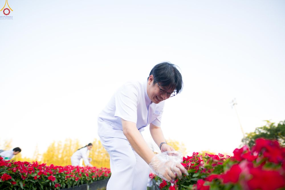 ภาพ No.280983:วันที่ 28 ธันวาคม พ.ศ.2568 กิจกรรมเก็บดอกแพงรวย ณ ทุ่งสวรรค์ตะวันฉาย วัดพระธรรมกาย