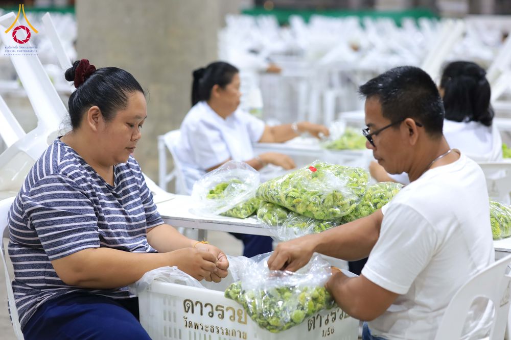 ภาพ No.303276:วันที่ 15-21 มกราคม พ.ศ.2569 ปลิดกลีบดอกเบญจทรัพย์ เพื่อโปรยต้อนรับพระธรรมยาตรา ในโครงการธรรมยาตรา กตัญญูบูชา มหาปูชนียาจารย์ พระมงคลเทพมุนี(สด จนฺทสโร) พระผู้ปราบมาร อนุสรณ์สถาน 7 แห่ง ปีที่ 14 ณ วิหารคด วัดพระธรรมกาย