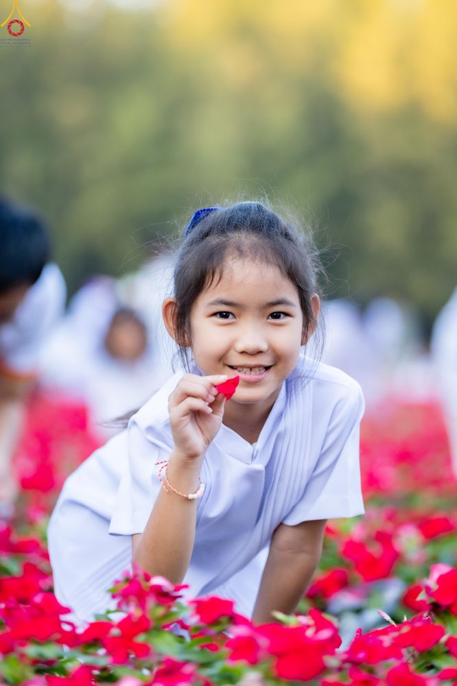 ภาพ No.281035:วันที่ 28 ธันวาคม พ.ศ.2568 กิจกรรมเก็บดอกแพงรวย ณ ทุ่งสวรรค์ตะวันฉาย วัดพระธรรมกาย