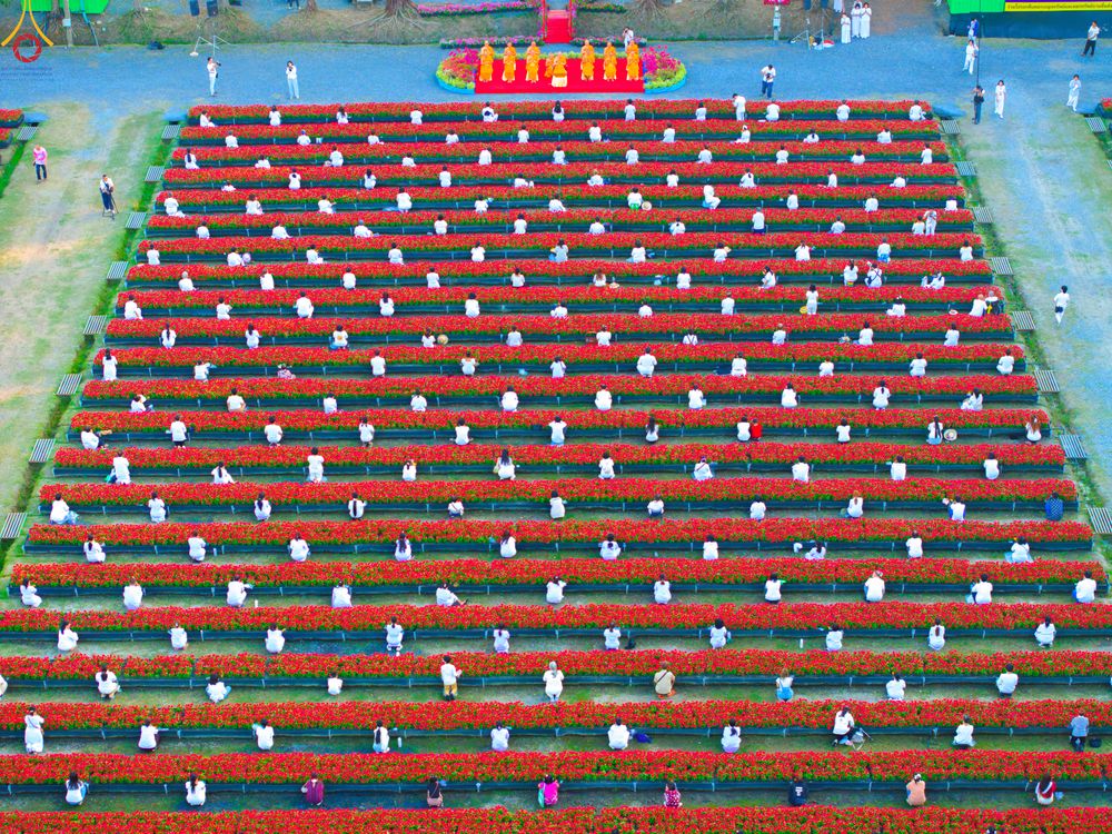 ภาพ No.280894:วันที่ 28 ธันวาคม พ.ศ.2568 กิจกรรมเก็บดอกแพงรวย ณ ทุ่งสวรรค์ตะวันฉาย วัดพระธรรมกาย