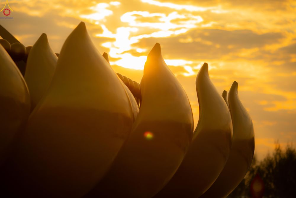 ภาพ No.302421:วันที่ 24 มกราคม พ.ศ. 2569 พิธีตักบาตรพระธรรมยาตรา ณ อนุสรณ์สถานลำดับที่ 5 สถานที่เผยแผ่วิชชาธรรมกายครั้งแรก อนุสรณ์สถานบางปลา วัดบางปลา อำเภอบางเลน จังหวัดนครปฐม ในโครงการธรรมยาตรา กตัญญูบูชา มหาปูชนียาจารย์ พระมงคลเทพมุนี(สด จนฺทสโร) พระผู้ปราบมาร อนุส