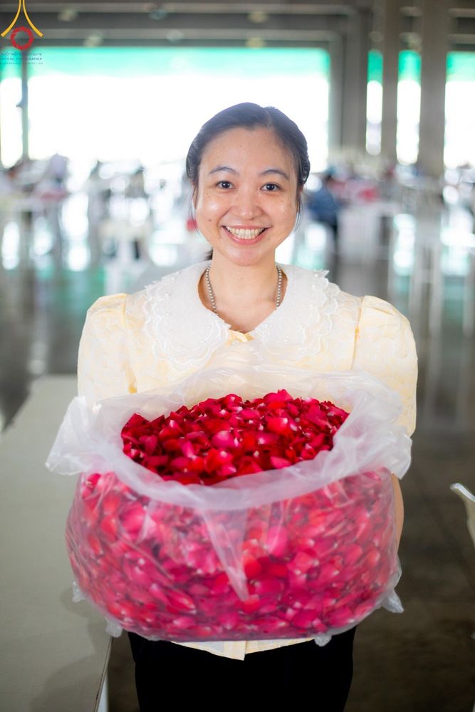 ภาพ No.187253:สาธุชน เจ้าหน้าที่ ร่วมบุญปลิดกลีบดอกไม้ เพื่อโปรยต้อนรับพระธรรมยาตรา ตั้งแต่วันที่ 26 ธันวาคม พ.ศ. 2567 ณ วิหารคด 31 วัดพระธรรมกาย