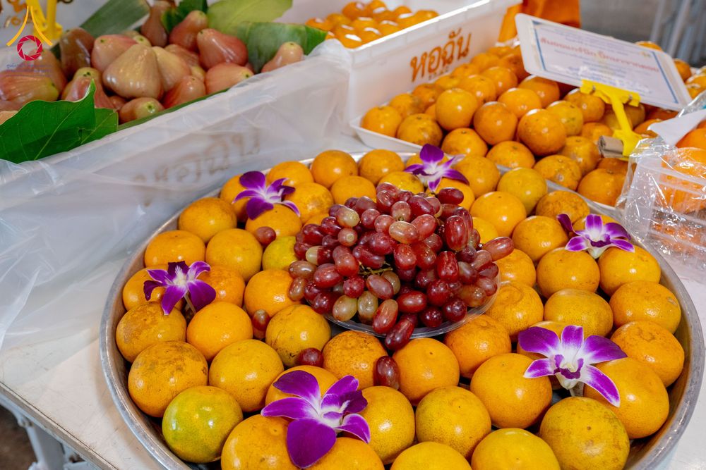 ภาพ No.287395:วันที่ 3 มกราคม พ.ศ.2569 พิธีถวายภัตตาหารเป็นสังฆทาน แด่พระธรรมยาตรา ณ วัดพระธรรมกาย  จังหวัดปทุมธานี ในโครงการธรรมยาตรา กตัญญูบูชา มหาปูชนียาจารย์ พระมงคลเทพมุนี(สด จนฺทสโร) พระผู้ปราบมาร อนุสรณ์สถาน 7 แห่ง ปีที่ 14