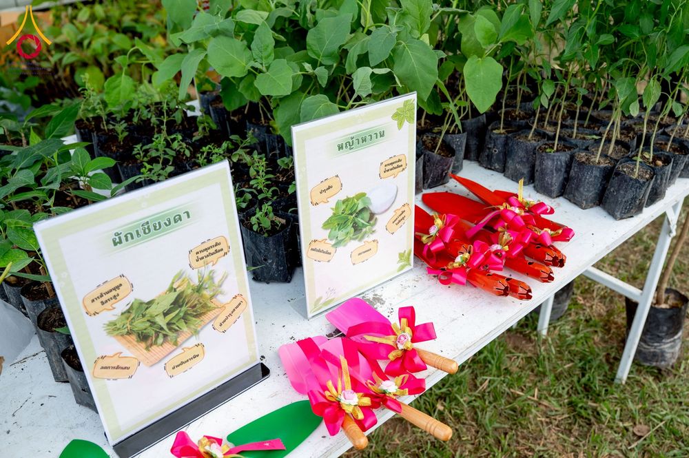 ภาพ No.266054:วันพุธที่ 5 พฤศจิกายน พ.ศ. 2568 (วันพระ ขึ้น 15 ค่ำ เดือน 12) พิธีจุดประทีปโคมลาน, โคมลอย และลอยกระทง ถวายประทีปเป็นพุทธบูชา สร้างความสว่างไสวให้กับแผ่นดินด้วยแสงธรรม ณ พุทธอุทยานนานาชาติ จังหวัดหนองคาย