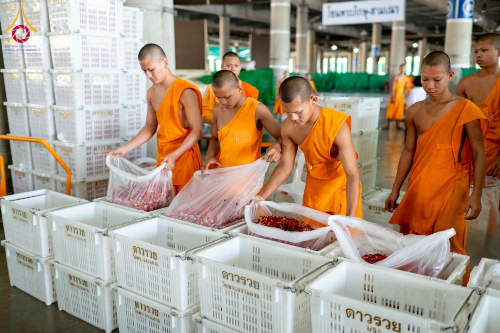 ภาพ No.279495:วันที่ 19-26 ธันวาคม พ.ศ. 2568 และ วันที่ 1 มกราคม พ.ศ.2569 รับบุญปลิดกลีบดอกไม้ เพื่อโปรยต้อนรับพระธรรมยาตรา