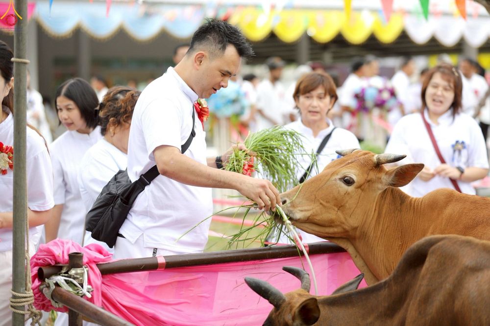 ภาพ No.241562:วันเสาร์ที่ 23 สิงหาคม พ.ศ. 2568 พิธีบุพเปตพลีนานาชาติ ปีที่ 12 ณ ศูนย์ปฏิบัติธรรมภาคใต้ อ.บางกล่ำ จ.สงขลา