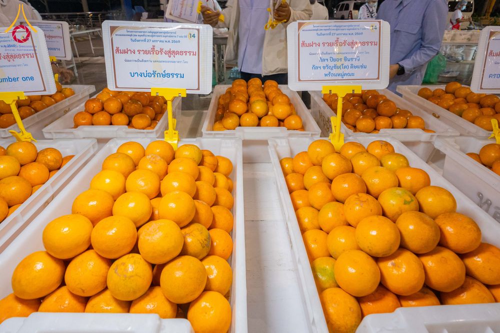 ภาพ No.303584:วันที่ 27 มกราคม พ.ศ. 2569 พิธีถวายภัตตาหารเป็นสังฆทาน แด่พระธรรมยาตรา ณ วัดพระธรรมกาย  จังหวัดปทุมธานี ในโครงการธรรมยาตรา กตัญญูบูชา มหาปูชนียาจารย์ พระมงคลเทพมุนี(สด จนฺทสโร) พระผู้ปราบมาร อนุสรณ์สถาน 7 แห่ง ปีที่ 14