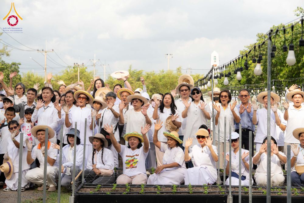 ภาพ No.346863:วันอาทิตย์ที่ 30 สิงหาคม พ.ศ.2569 การปักชำต้นกล้าเบญจทรัพย์ เพื่อเตรียมดอกไม้บูชาธรรม พระเดชพระคุณหลวงปู่ และโปรยต้อนรับพระธรรมยาตรา ปีที่ 15 ณ แปลงปลูก B ปทุมเจดีย์ วัดพระธรรมกาย