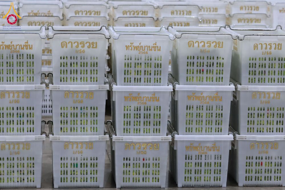 ภาพ No.303289:วันที่ 15-21 มกราคม พ.ศ.2569 ปลิดกลีบดอกเบญจทรัพย์ เพื่อโปรยต้อนรับพระธรรมยาตรา ในโครงการธรรมยาตรา กตัญญูบูชา มหาปูชนียาจารย์ พระมงคลเทพมุนี(สด จนฺทสโร) พระผู้ปราบมาร อนุสรณ์สถาน 7 แห่ง ปีที่ 14 ณ วิหารคด วัดพระธรรมกาย