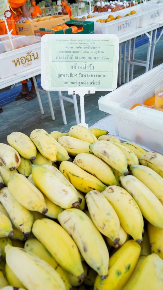 ภาพ No.72161:พิธีถวายภัตตาหารเป็นสังฆทาน แด่คณะพระธรรมยาตราฯ ในโครงการธรรมยาตรากตัญญูบูชา มหาปูชนียาจารย์ พระมงคลเทพมุนี(สด จนฺทสโร) พระผู้ปราบมาร อนุสรณ์สถาน 7 แห่ง ปีที่ 11 วันที่ 18 มกราคม พ.ศ. 2566