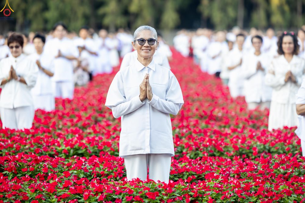 ภาพ No.281053:วันที่ 28 ธันวาคม พ.ศ.2568 กิจกรรมเก็บดอกแพงรวย ณ ทุ่งสวรรค์ตะวันฉาย วัดพระธรรมกาย