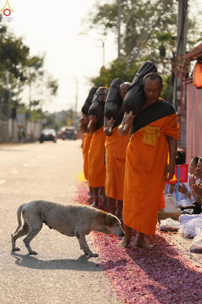 ภาพ No.295115:วันที่ 14 มกราคม พ.ศ. 2569 พิธีต้อนรับพระธรรมยาตรา อนุสรณ์สถานลำดับที่ 4  สถานที่เกิดด้วยกายธรรม ณ วัดโบสถ์บน ต.บางคูเวียง จ.นนทบุรี ในโครงการธรรมยาตรา กตัญญูบูชา มหาปูชนียาจารย์ พระมงคลเทพมุนี(สด จนฺทสโร) พระผู้ปราบมาร อนุสรณ์สถาน 7 แห่ง ปีที่ 14