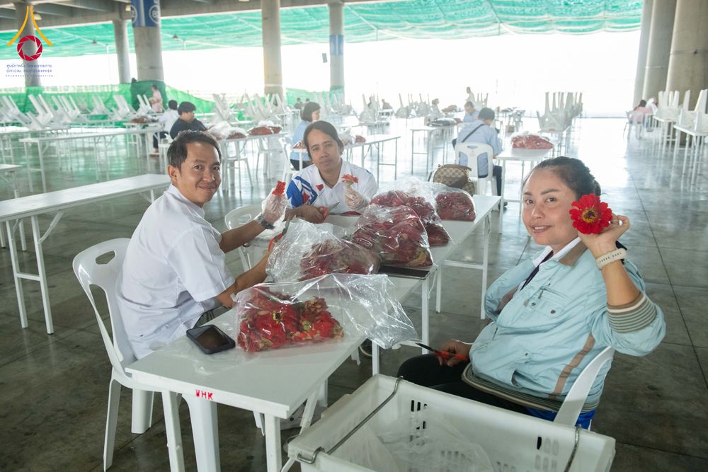 ภาพ No.279467:วันที่ 19-26 ธันวาคม พ.ศ. 2568 และ วันที่ 1 มกราคม พ.ศ.2569 รับบุญปลิดกลีบดอกไม้ เพื่อโปรยต้อนรับพระธรรมยาตรา