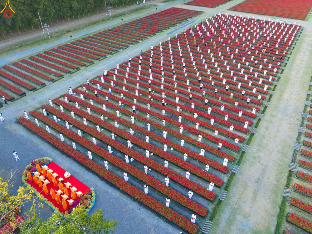 ภาพ No.280947:วันที่ 28 ธันวาคม พ.ศ.2568 กิจกรรมเก็บดอกแพงรวย ณ ทุ่งสวรรค์ตะวันฉาย วัดพระธรรมกาย