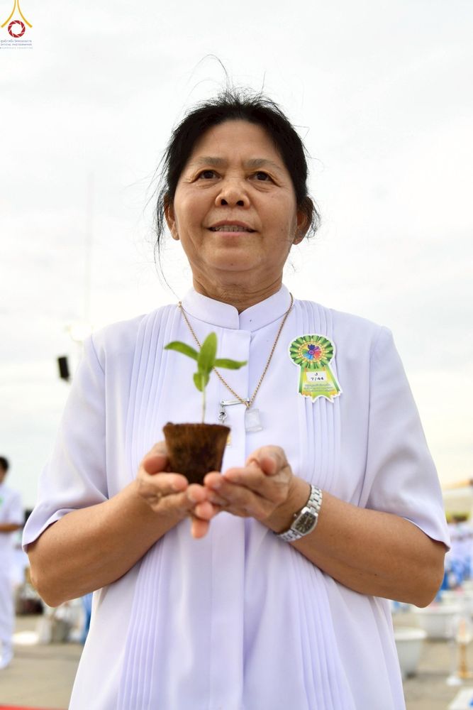 ภาพ No.252891:วันที่ 10 ตุลาคม พ.ศ. 2568 พิธีปลูกต้นทรัพย์บานชื่น ณ ลานธรรม วัดพระธรรมกาย