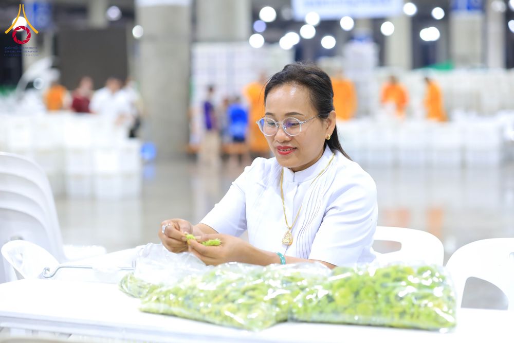 ภาพ No.303264:วันที่ 15-21 มกราคม พ.ศ.2569 ปลิดกลีบดอกเบญจทรัพย์ เพื่อโปรยต้อนรับพระธรรมยาตรา ในโครงการธรรมยาตรา กตัญญูบูชา มหาปูชนียาจารย์ พระมงคลเทพมุนี(สด จนฺทสโร) พระผู้ปราบมาร อนุสรณ์สถาน 7 แห่ง ปีที่ 14 ณ วิหารคด วัดพระธรรมกาย