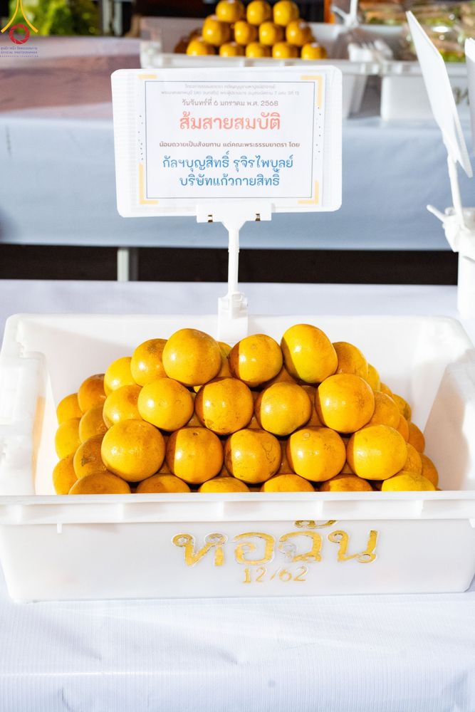 ภาพ No.190044:พิธีถวายภัตตาหารเป็นสังฆทาน แด่พระธรรมยาตรา ณ อนุสรณ์สถานมหาวิหารพระมงคลเทพมุนี (โลตัสแลนด์) อ.สองพี่น้อง จ.สุพรรณบุรี ในโครงการธรรมยาตรา กตัญญูบูชา มหาปูชนียาจารย์ พระมงคลเทพมุนี(สด จนฺทสโร) พระผู้ปราบมาร อนุสรณ์สถาน 7 แห่ง ปีที่ 13 วันที่ 6 มกราคม 2568