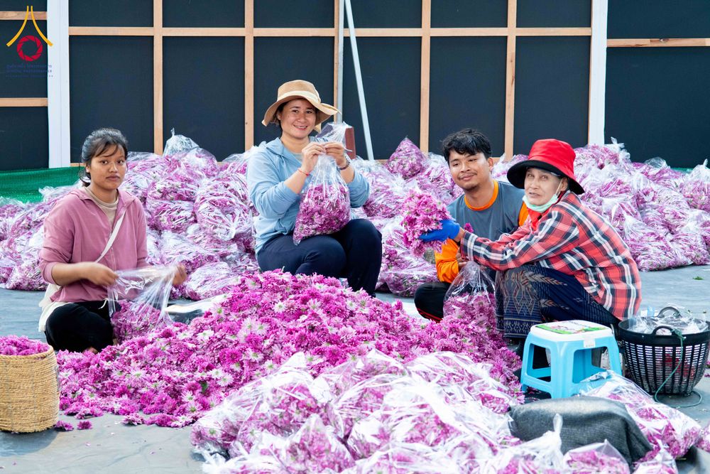 ภาพ No.279412:วันที่ 19-26 ธันวาคม พ.ศ. 2568 และ วันที่ 1 มกราคม พ.ศ.2569 รับบุญปลิดกลีบดอกไม้ เพื่อโปรยต้อนรับพระธรรมยาตรา