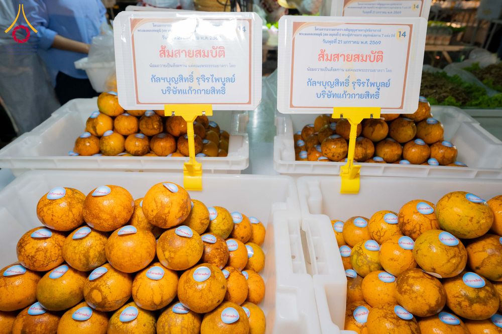 ภาพ No.299229:วันที่ 21 มกราคม พ.ศ. 2569 พิธีถวายภัตตาหารเป็นสังฆทาน แด่พระธรรมยาตรา ณ อนุสรณ์สถานบางปลา วัดบางปลา อำเภอบางเลน จังหวัดนครปฐม ในโครงการธรรมยาตรา กตัญญูบูชา มหาปูชนียาจารย์ พระมงคลเทพมุนี(สด จนฺทสโร) พระผู้ปราบมาร อนุสรณ์สถาน 7 แห่ง ปีที่ 14