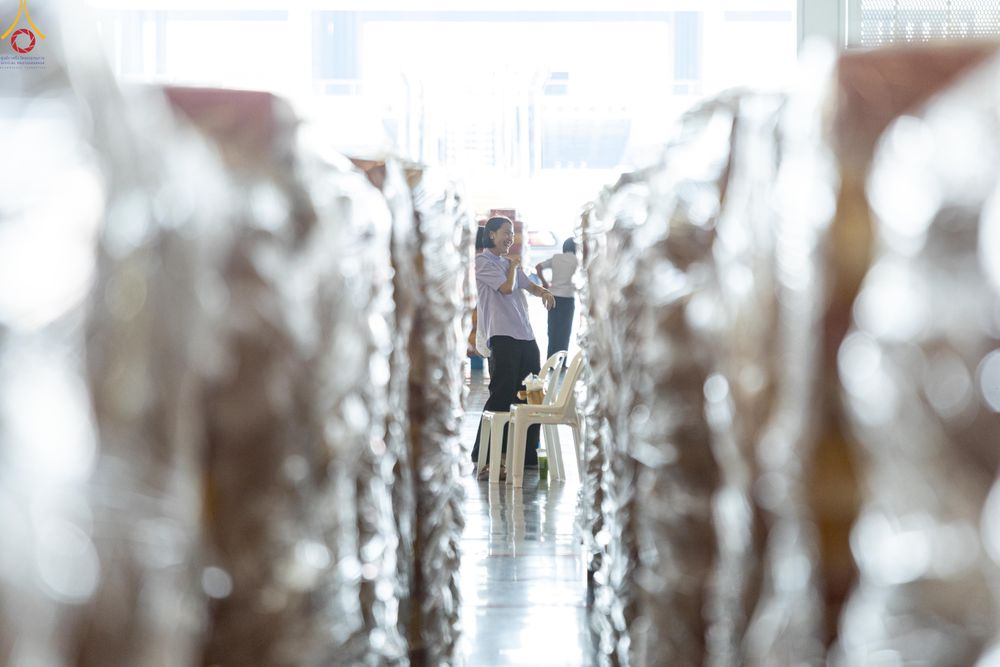 ภาพ No.322168:วันที่ 14 เมษายน พ.ศ.2569 การเตรียมกล่องไทยธรรม วันสุดท้าย เพื่องานถวายมหาสังฆทาน 40,000 กว่าวัดทั่วประเทศ วันคุ้มครองโลก 22 เมษายน พ.ศ.2569 วัดพระธรรมกาย