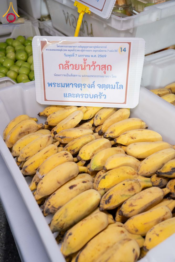 ภาพ No.289597:วันที่ 7 มกราคม พ.ศ. 2569 พิธีถวายภัตตาหารเป็นสังฆทาน แด่พระธรรมยาตรา ในโครงการธรรมยาตรา กตัญญูบูชา มหาปูชนียาจารย์ พระมงคลเทพมุนี(สด จนฺทสโร) พระผู้ปราบมาร อนุสรณ์สถาน 7 แห่ง ปีที่ 14 ณ อนุสรณ์สถานมหาวิหารพระมงคลเทพมุนี (โลตัสแลนด์) อ.สองพี่น้อง จ.สุพรร