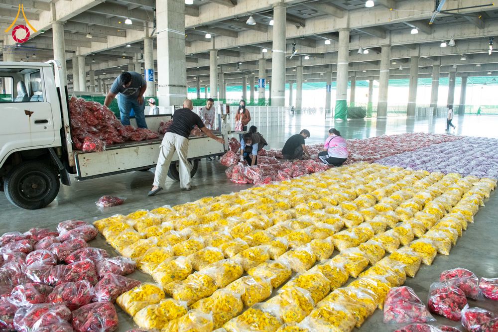 ภาพ No.279432:วันที่ 19-26 ธันวาคม พ.ศ. 2568 และ วันที่ 1 มกราคม พ.ศ.2569 รับบุญปลิดกลีบดอกไม้ เพื่อโปรยต้อนรับพระธรรมยาตรา