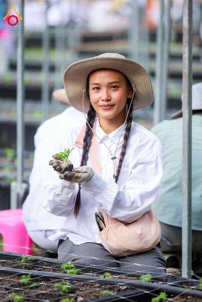 ภาพ No.346787:วันอาทิตย์ที่ 30 สิงหาคม พ.ศ.2569 การปักชำต้นกล้าเบญจทรัพย์ เพื่อเตรียมดอกไม้บูชาธรรม พระเดชพระคุณหลวงปู่ และโปรยต้อนรับพระธรรมยาตรา ปีที่ 15 ณ แปลงปลูก B ปทุมเจดีย์ วัดพระธรรมกาย