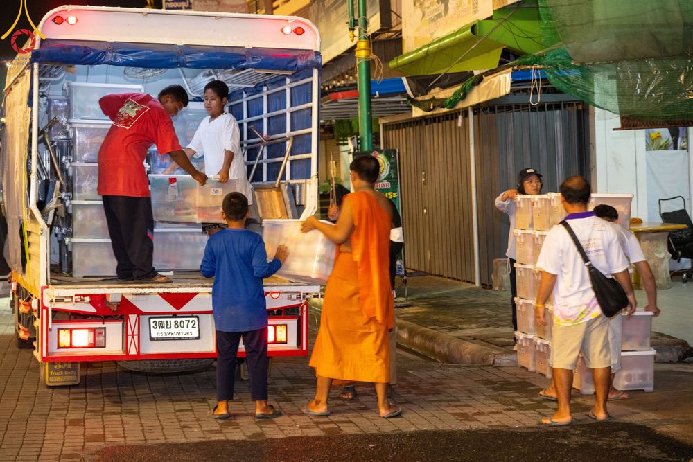 ภาพ No.311145:วันเสาร์ที่ 28 กุมภาพันธ์ พ.ศ. 2569 พิธีตักบาตรพระมหากุศล 11,250 รูป เฉลิมฉลอง 1,250 ปีศรีธรรมราชเจดีย์ สู่มรดกโลก ณ ถนนราชดำเนิน บริเวณหน้าวัดพระมหาธาตุวรมหาวิหาร อ.เมือง จ.นครศรีธรรมราช