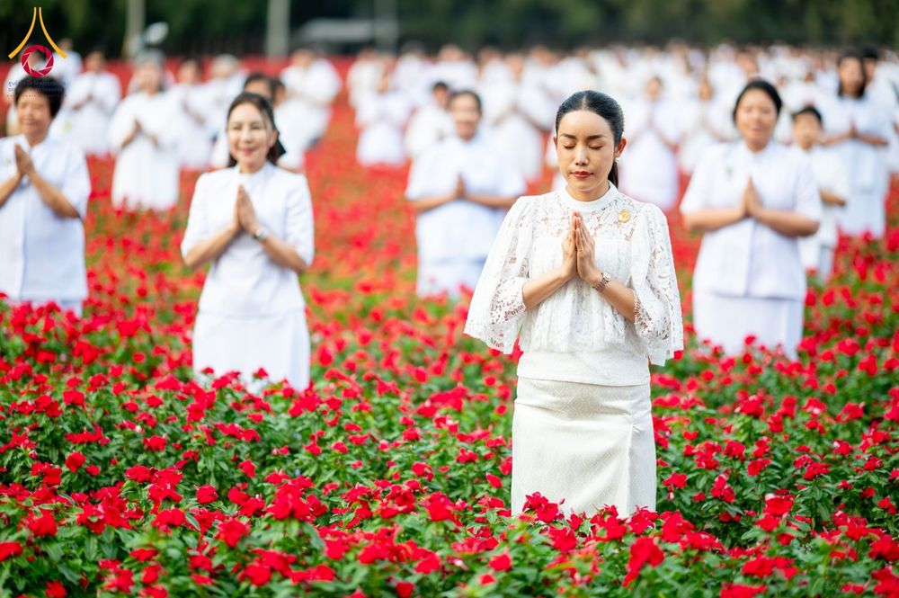 ภาพ No.185436:กิจกรรมเก็บดอกแพงรวย วันอาทิตย์ที่ 22 ธันวาคม พ.ศ. 2567 ณ ทุ่งสวรรค์ ตะวันฉาย วัดพระธรรมกาย