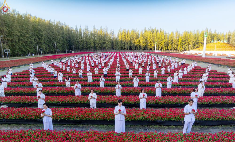 ภาพ No.280922:วันที่ 28 ธันวาคม พ.ศ.2568 กิจกรรมเก็บดอกแพงรวย ณ ทุ่งสวรรค์ตะวันฉาย วัดพระธรรมกาย