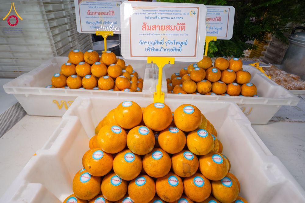 ภาพ No.293540:วันที่ 13 มกราคม พ.ศ. 2569 พิธีถวายภัตตาหารเป็นสังฆทาน แด่พระธรรมยาตรา ณ อนุสรณ์สถานมหาวิหารพระมงคลเทพมุนี (โลตัสแลนด์) อ.สองพี่น้อง จ.สุพรรณบุรี ในโครงการธรรมยาตรา กตัญญูบูชา มหาปูชนียาจารย์ พระมงคลเทพมุนี(สด จนฺทสโร) พระผู้ปราบมาร อนุสรณ์สถาน 7 แห่ง ปี