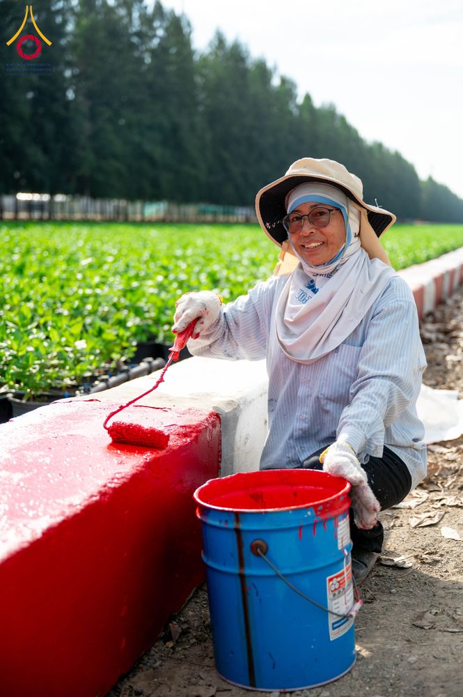 ภาพ No.285357:วันพุธที่ 10 ธันวาคม พ.ศ.2568  การเตรียมความพร้อมในโครงการธรรมยาตรา กตัญญูบูชา มหาปูชนียาจารย์ พระมงคลเทพมุนี(สด จนฺทสโร) พระผู้ปราบมาร อนุสรณ์สถาน 7 แห่ง ปีที่ 14 เก็บดอกเบญจทรัพย์ ณ วัดพระธรรมกาย