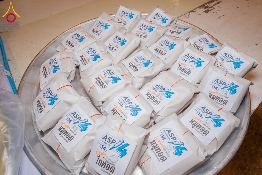 ภาพ No.303892:วันที่ 28 มกราคม พ.ศ. 2569 พิธีถวายภัตตาหารเป็นสังฆทาน แด่พระธรรมยาตรา ณ วัดพระธรรมกาย  จังหวัดปทุมธานี ในโครงการธรรมยาตรา กตัญญูบูชา มหาปูชนียาจารย์ พระมงคลเทพมุนี(สด จนฺทสโร) พระผู้ปราบมาร อนุสรณ์สถาน 7 แห่ง ปีที่ 14