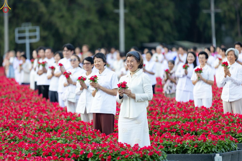 ภาพ No.280933:วันที่ 28 ธันวาคม พ.ศ.2568 กิจกรรมเก็บดอกแพงรวย ณ ทุ่งสวรรค์ตะวันฉาย วัดพระธรรมกาย