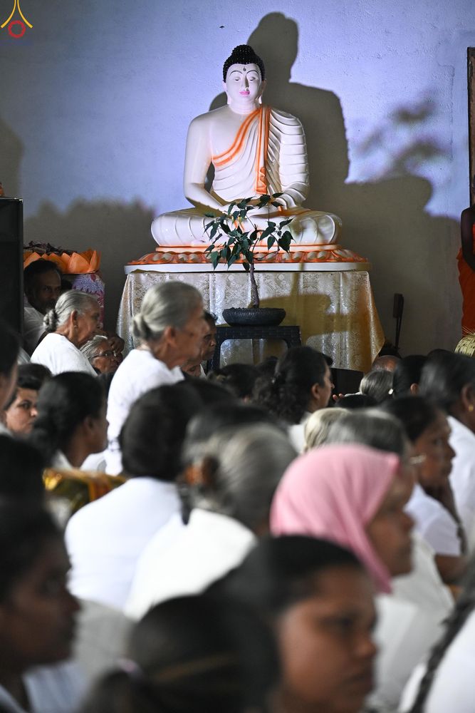 ภาพ No.278687:วันที่ 30 ตุลาคม พ.ศ.2568 กฐินสมทบต่างประเทศ โดยคณะศิษยานุศิษย์ บูชาธรรม 81 ปี หลวงพ่อธัมมชโย ณ วัดศรีสุดาสนะ รังกุต วิหาร ประเทศศรีลังกา