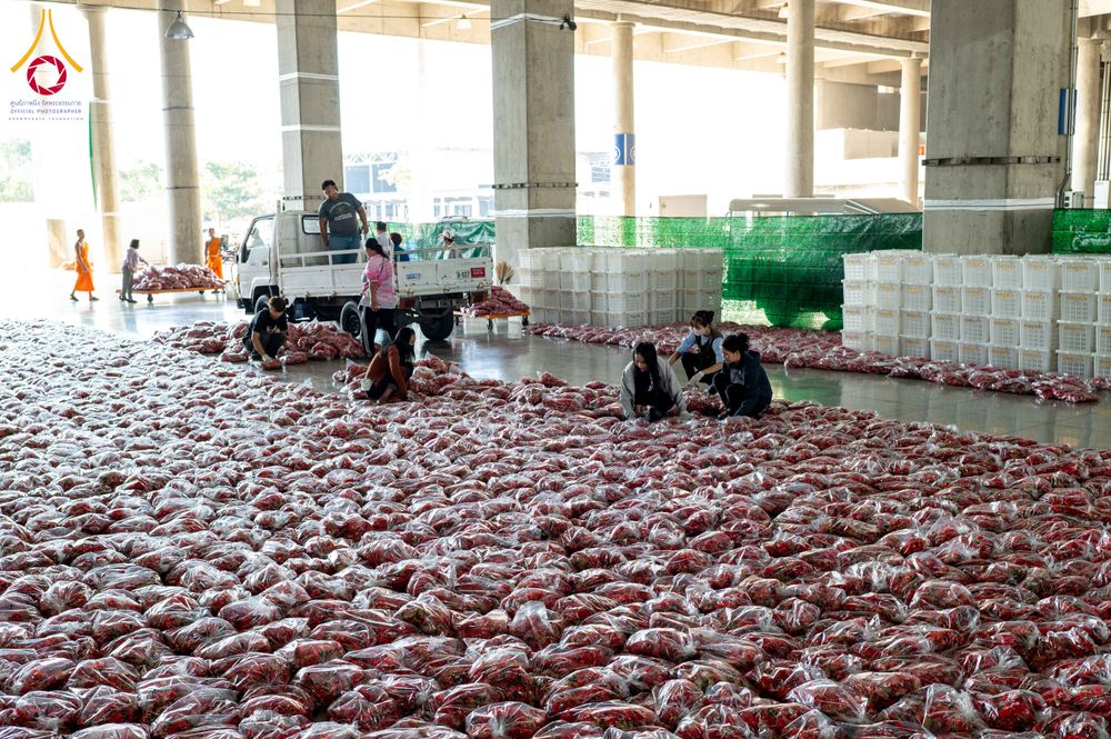 ภาพ No.279475:วันที่ 19-26 ธันวาคม พ.ศ. 2568 และ วันที่ 1 มกราคม พ.ศ.2569 รับบุญปลิดกลีบดอกไม้ เพื่อโปรยต้อนรับพระธรรมยาตรา