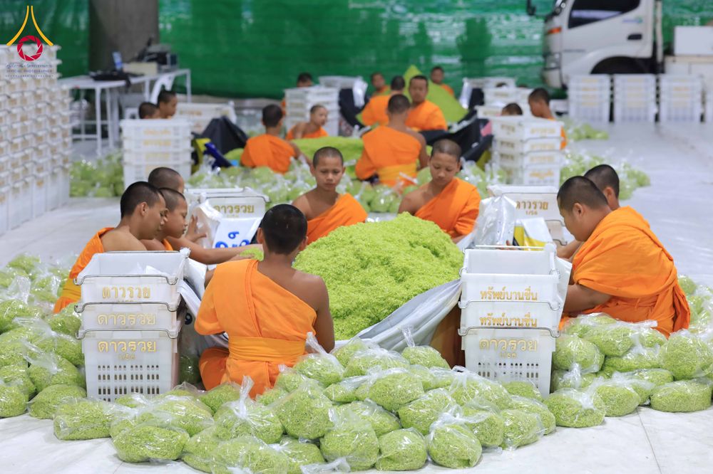 ภาพ No.303251:วันที่ 15-21 มกราคม พ.ศ.2569 ปลิดกลีบดอกเบญจทรัพย์ เพื่อโปรยต้อนรับพระธรรมยาตรา ในโครงการธรรมยาตรา กตัญญูบูชา มหาปูชนียาจารย์ พระมงคลเทพมุนี(สด จนฺทสโร) พระผู้ปราบมาร อนุสรณ์สถาน 7 แห่ง ปีที่ 14 ณ วิหารคด วัดพระธรรมกาย