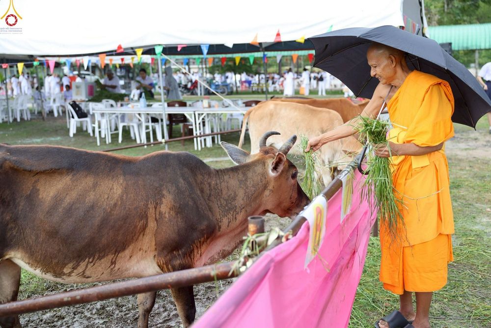 ภาพ No.241556:วันเสาร์ที่ 23 สิงหาคม พ.ศ. 2568 พิธีบุพเปตพลีนานาชาติ ปีที่ 12 ณ ศูนย์ปฏิบัติธรรมภาคใต้ อ.บางกล่ำ จ.สงขลา