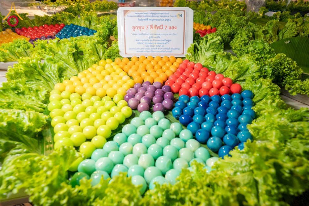 ภาพ No.297906:วันที่ 19 มกราคม พ.ศ. 2569 พิธีถวายภัตตาหารเป็นสังฆทาน แด่พระธรรมยาตรา ณ อนุสรณ์สถานบางปลา วัดบางปลา อำเภอบางเลน จังหวัดนครปฐม ในโครงการธรรมยาตรา กตัญญูบูชา มหาปูชนียาจารย์ พระมงคลเทพมุนี(สด จนฺทสโร) พระผู้ปราบมาร อนุสรณ์สถาน 7 แห่ง ปีที่ 14