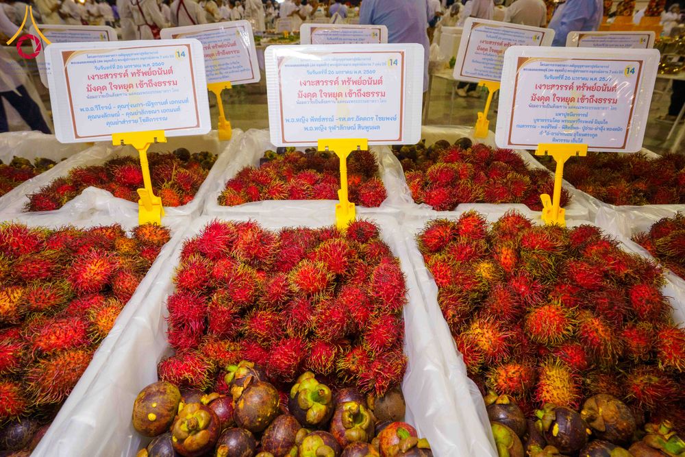 ภาพ No.303151:วันที่ 26 มกราคม พ.ศ. 2569 พิธีถวายภัตตาหารเป็นสังฆทาน แด่พระธรรมยาตรา ณ วัดพระธรรมกาย  จังหวัดปทุมธานี ในโครงการธรรมยาตรา กตัญญูบูชา มหาปูชนียาจารย์ พระมงคลเทพมุนี(สด จนฺทสโร) พระผู้ปราบมาร อนุสรณ์สถาน 7 แห่ง ปีที่ 14