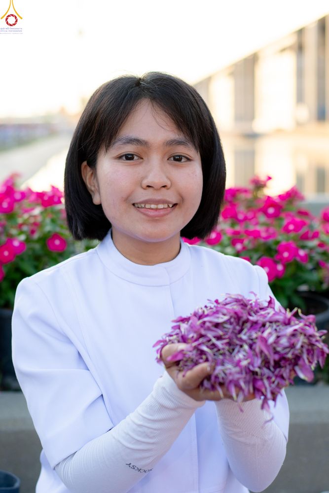 ภาพ No.305718:วันที่ 25 มกราคม พ.ศ. 2569 พิธีต้อนรับพระธรรมยาตรา วัดพระธรรมกาย(ภาพชุดที่ 3) ในโครงการธรรมยาตรา กตัญญูบูชา มหาปูชนียาจารย์ พระมงคลเทพมุนี(สด จนฺทสโร) พระผู้ปราบมาร อนุสรณ์สถาน 7 แห่ง ปีที่ 14